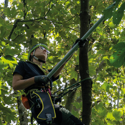 BERGER ArboRapid Teleskopstange 1,45 - 3,80 m Carbon – 1300 g, 3-teilige Carbon-Teleskopstange, Leicht und stabil